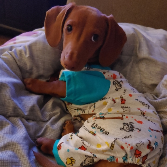 Meet your Posher, Tabatha - Picture 9 of 10